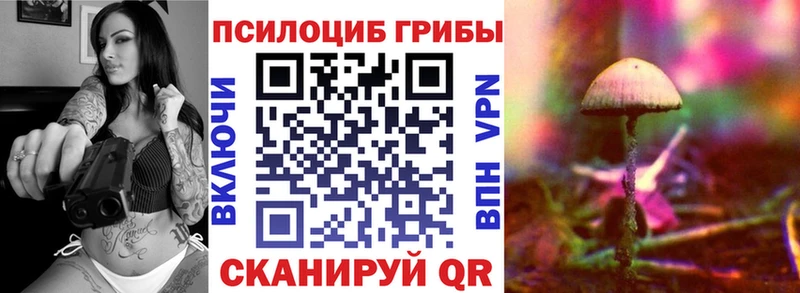 хочу наркоту  Выкса  Галлюциногенные грибы GOLDEN TEACHER 