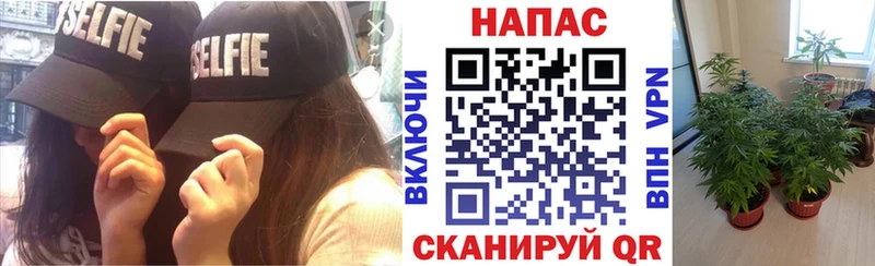 mega зеркало  Выкса  Шишки марихуана семена 